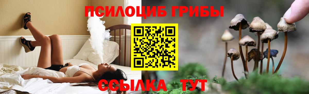 Галлюциногенные грибы GOLDEN TEACHER  Вход с VPN  Нальчик 